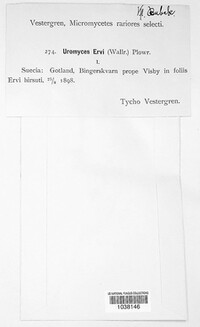 Image Associated With the Occurence